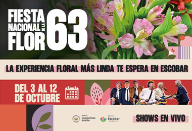 fiesta-flor-mobile